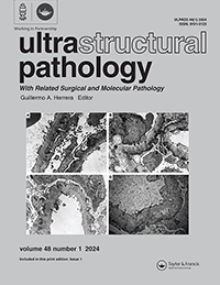 Cover image for Ultrastructural Pathology, Volume 48, Issue 1