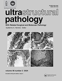Cover image for Ultrastructural Pathology, Volume 48, Issue 3