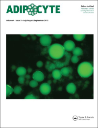 Cover image for Adipocyte, Volume 12, Issue 1