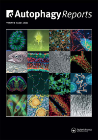 Cover image for Autophagy Reports, Volume 2, Issue 1
