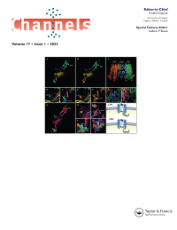 Cover image for Channels, Volume 17, Issue 1