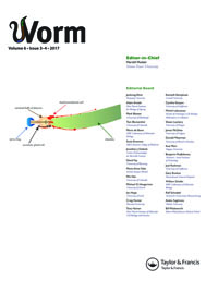 Cover image for Worm, Volume 6, Issue 3-4