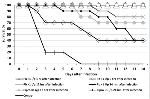 Figure 2. Survival of outbred white mice after parenteral (intraperitoneal - i/p) treatment with phagebiotic 1, 6, 12, and 24 h after a hypodermic infection with K. pneumoniae strain B2580. Animals from control group were not treated with phagebiotic (Pb) or ciprofloxacin (Cipro).