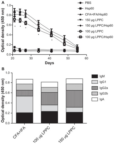 Figure 4 The adjuvant effects of LPPC on the production of antibody in vivo. (A) The total titers of anti-HpHsp60 antibody were determined every 3 days starting 21 days after immunization and (B) the antibody isotypes (IgM, IgG1, IgG2a, IgG2b, and IgA) were determined 21 days after immunization.Notes: Data are expressed as the mean ± SD (n = 4). A significant difference compared to the CFA+IFA/Hsp60 group is indicated by *P < 0.05.Abbreviations: CFA, complete Freund’s adjuvant; IFA, incomplete Freund’s adjuvant; LPPC, liposome-polyethylene glycol (PEG)-polyethyleneimine (PEI) complex; PBS, phosphate-buffered saline; Ig, immunoglobulin.