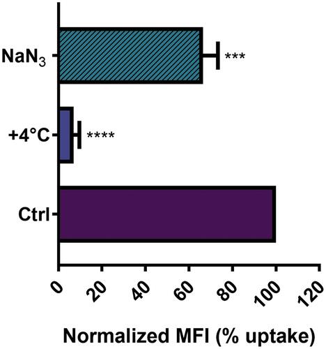 Figure 3 Effect of temperature and energy depletion on NTB700 nanoparticle internalization in U937. Cells were incubated with NTB700 (64 µg/mL) under different condition: control (NPs incubated at 37°C), +4°C and sodium azide (NaN3). The percentage of nanoparticle uptake was measured by MFI, determined through flow cytometry (2 independent replicas of 3 experiments), normalized with NP MFI values in normal condition at 37°C (Ctrl is 100% uptake). Asterisks denote a statistically significant difference effect of temperature and energy with their respective control (***p < 0.001, ****p = < 0.0001). At least 10,000 events were analysed by flow cytometry for each experimental condition.