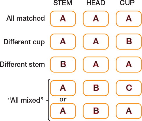 Figure 1. Diagram to show mixing of stem, head, and cup components between different manufacturers (modular stems only), where A, B, and C are manufacturers