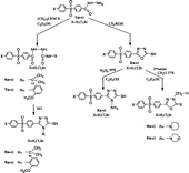 Scheme 1 Synthesis of the heterocycles 2–9