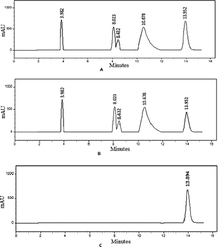 Figure 1.  HPLC profiles of metabolites from CFR 101 (A) HPLC of crude before incubation with enzyme. (B) HPLC of crude after incubation with enzyme and (C) HPLC of purified inhibitor. HPLC, high-performance liquid chromatography.