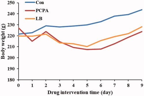 Figure 1. Effect of LB on body weights in PCPA-induced insomnia rat. The bodyweight of the animals is weighed for 10 consecutive days. Animals were intraperitoneally injected PCPA for the first two days and administered by gavage for 7 days.