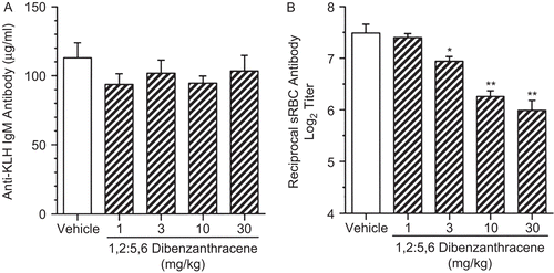 Figure 9.   The effects of a single pharyngeal aspiration (pa) of 1,2:5,6-dibenzanthracene (DBA) on serum antigen-specific IgM antibody levels. Mice received either DBA (1 to 30 mg/kg) or vehicle (VH) in a single pa and then were sensitized by iv tail vein injection within 2 h with either (A) 2 mg keyhole limpet hemocyanin (KLH) antigen or (B) 7.5 × 107 sheep red blood cells (SRBC). Five days later, blood was collected by cardiac puncture to analyze by enzyme-linked immunosorbent assay (ELISA). In (A), the amount of antigen-specific IgM antibody was expressed as mean IgM (μg/mL), while in (B), results are expressed as log2 (titer), where the titer is defined as the reciprocal of the dilution giving an optical density (OD) of 0.5. Values represent the mean (± SE) derived from n = 6, 7, or 8 animals per group; *p < 0.05, **p < 0.01.