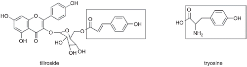 Figure 2.  The structural similarity of tyrosine and tiliroside.