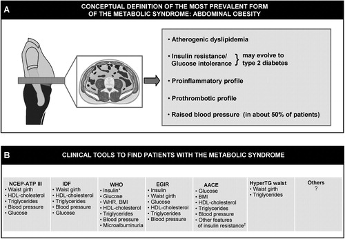 Figure 2. Distinction to be made between the conceptual definition of the most prevalent form of the metabolic syndrome(abdominal obesity) (panel A) versus clinical tools that have been proposed by various organizations/groups to identify patients likely to have the metabolic syndrome (panel B). Although finding patients with the metabolic syndrome is important in clinical practice, how to integrate this information in global cardiovascular risk assessment remains an unresolved issue (see text). NCEP‐ATP III = National Cholesterol Education Program‐Adult Treatment Panel III; IDF = International Diabetes Federation; WHO = World Health Organization; EGIR = European Group for the study of Insulin Resistance; AACE = American Association of Clinical Endocrinologists; HyperTG waist = hypertriglyceridemic waist; BMI = body mass index; WHR = waist‐to‐hip ratio. *Insulin resistance measured under hyperinsulinemic euglycemic conditions. †Includes family history of type 2 diabetes, polycystic ovary syndrome, sedentary lifestyle, advancing age and ethnic groups susceptible to type 2 diabetes.