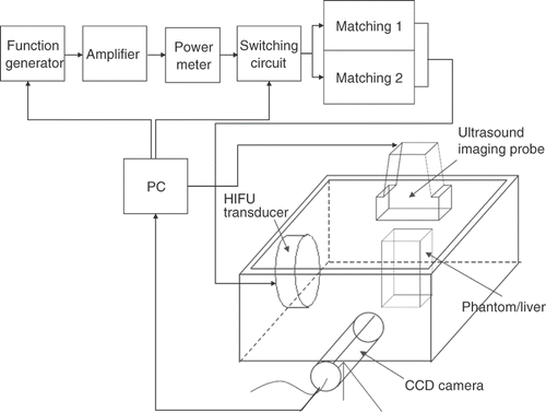 Figure 1. Experimental setup.