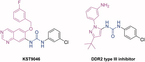 Figure 3. Structure similarity between KST9046 and type III DDR2 allosteric modulator.
