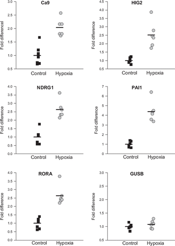 Figure 3. Expression of CA9, HIG2, NDRG1, PAI-1 and RORA in FaDuDD xenograft tumors from mice exposed to either 10% oxygen (hypoxia group) or atmospheric air (control) measured by qPCR. Expression levels are normalized to expression of the housekeeping gene TFRC. Expression of GUSB is measured as control. Each point represents an individual mouse tumor; horizontal bar is the average value.