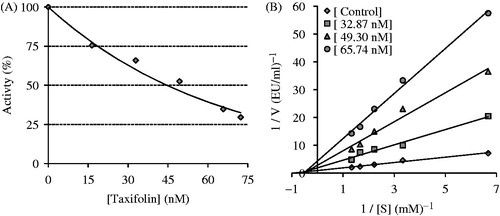 Figure 2. Determination of the half maximal inhibitory concentration (IC50) (A) and inhibition constant (Ki) values (B) of taxifolin for human erythrocyte carbonic anhydrase II isoenzyme (hCA II) by using a Lineweaver–Burk graph.
