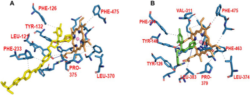 Figure 3 A depiction of the binding poses of two different azole drugs in the CYP51 drug-binding pocket. (A) shows the interaction of posaconazole (yellow) with different active site residues (blue) and prosthetic heme group (brown) of the C. albicans CYP51. (B) shows the interaction of fluconazole (green) with different active site residues (blue) and prosthetic heme group (brown) of the S. cerevisiae CYP51.