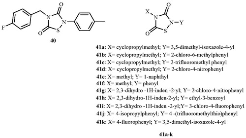 Figure 21. Structure of thiadiazolidinones 40 and 41a–k as Alr inhibitors.