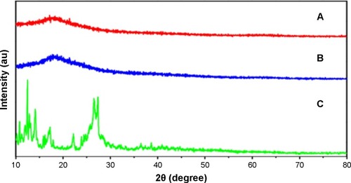 Figure 6 X-ray powder diffraction of free QT (A), QT-PBCA NPs (B), and blank PBCA NPs (C).Abbreviations: QT, quercetin; QT-PBCA NPs, quercetin-loaded poly(n-butylcyanoacrylate) nanoparticles; PBCA, poly(n-butylcyanoacrylate); NPs, nanoparticles.