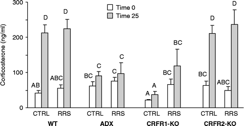 Figure 5.  Serum corticosterone measured before (time 0) and 25 min (time 25) after the start of testing in the EPM on day 11 of the experimental period. Values that do not share a common superscript are significantly different at P < 0.05. ADX, adrenalectomised and corticosterone replacement; CRFR, corticotropin releasing factor receptor; CTRL, control; KO, gene deletion; RRS, daily restraint stress for 3 days; WT, wild type.