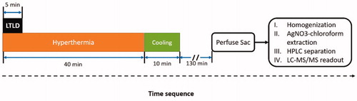 Figure 1. Time sequence for drug delivery in rabbits with Vx2 tumors using LTLD and MR-HIFU mild hyperthermia. Three different doses of LTLD (0.1, 0.5, and 2.5 mg/kg) were administered in the first 5 min. Temperature mapping was continued for 10 min after treatment to observe tissue cooling (during which period the temperature of the heated region returned to baseline). The heated tumors, contralateral unheated tumor, and other organs were harvested 3 h after the start of LTLD infusion for drug quantification using silver nitrate/chloroform extraction with LC-MS/MS readout.