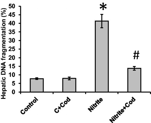 Figure 5. Effect of cod liver oil on hepatic DNA fragmentation. Statistical analysis showing significant increase in hepatic DNA fragmentation in sodium nitrite group as compared with the control group (p < 0.05). Treatment with cod liver oil significantly reduced the percent of DNA fragmentation in the sodium nitrite group but did not affect the control group. *: significant difference as compared with the rest of the groups at p < 0.05. #: significant difference as compared with the control groups at p < 0.05.