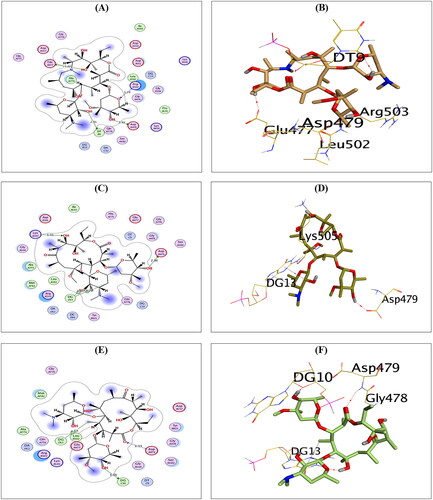 Figure 4. The 2D and 3D binding interactions of compounds AZ (A,B), CL (C,D), and ER (E,F) reveal their binding interactions at the topoisomerase II-DNA complex active site.