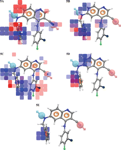 Figure 5.  QSAR visualization of various substituents effect: (A) Electron withdrawing feature, (B) Hydrogen-bond donor, (C) Hydrophobic features, (D) Positive ionic and (E) Negative ionic.