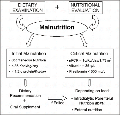 Figure 1. Schematic of malnutrition treatment in uremic elderly.