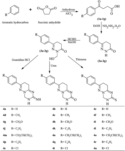 Scheme 1.   Synthesis protocol for various 7-substituted-phenyl-3,4,8,9-tetrahydro-2H-pyridazino[1,6-a][1,3,5]triazin-2-imine/one/thione derivatives.