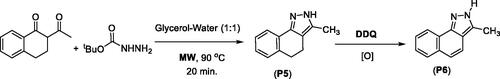 Scheme 3. Microwave-assisted synthesis of tricyclic pyrazole P5 and benznidazole P6.