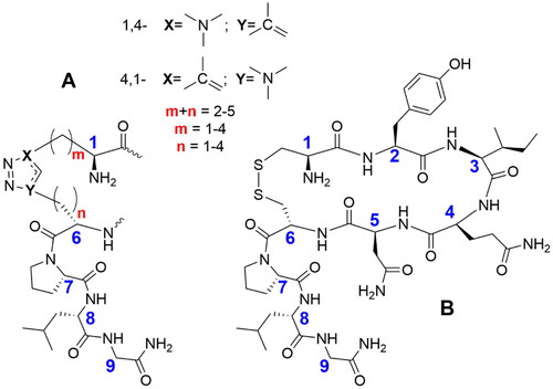 Figure 1. All permutations replacing the disulphide bridge in OT by the side chain-to-side chain 1H-[1,2,3]triazol-1-yl-bridged modification. (A) Partial schematic structure of the 1,4- and 4,1-(1H-[1,2,3]triazol-1-yl) containing permutations included in this study, where m + n = 2–5 and m = 1–4 and n = 1–4 and (B) OT schematic structure.