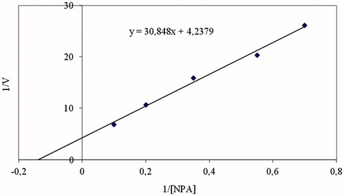 Figure 2. Lineweaver–Burk curves for p-NPA hydrolysis catalyzed by the gcCA enzyme, at five different concentrations of substrate.