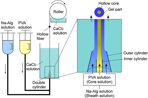 Figure 1. Schematic depiction of calcium alginate hydrogel hollow microfiber formation.