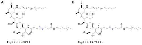 Figure 5 Chemical structures of (A) C16-SS-CS-mPEG and (B) C16-CC-CS-mPEG.