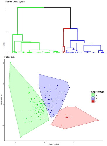 Figure 1. Cluster identification. The upper figure shows the hierarchical clustering dendrogram with three clusters. The lower figure shows the factor map from the principal component analysis. Each individual is represented by label, depending on the cluster: a green circle (subphenotype A), a blue triangle (subphentopye B), or a red square (subphenotype C).