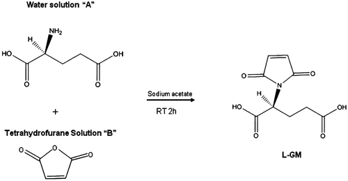 Scheme 2.  One step amide and imide formation at room temperature.