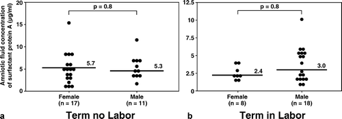 Figure 3. Amniotic fluid concentrations of SP-A in women at term with and without labor stratified by gender of the fetus. There was no significant difference in the median amniotic fluid concentration of SP-A stratified by fetal gender in both the term in labor and term not in labor groups (term no labor SP-A, female: median 5.7 μg/mL, range 2.2–15.2 μg/mL vs. male: median 5.3 μg/mL, range 2.6–11.7 μg/mL; p = 0.8, and term in labor SP-A, female: median 2.4 μg/mL, range 1.7–4.1 μg/mL vs. male: median 3.0 μg/mL, range 1.2–10.1 μg/mL; p = 0.2).