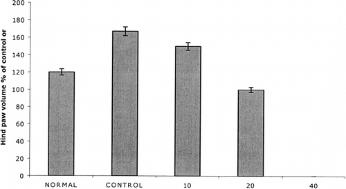 Figure 2 Effect of treatment with PZE at doses of 10, 20, and 40 mg/kg on paw volume on day 14 postadministration with adjuvant. Four groups of Lewis rats (5 rats per each group) were injected with 0.1 ml of Freund's complete adjuvant on day 0. Three groups of arthritic rats were treated (i.p.) with the above concentrations of PZE from day 0 to day 13. A fourth group (control) was treated with olive oil alone. Normal group did not receive any injection. Hind paw volume was measured on day 14.