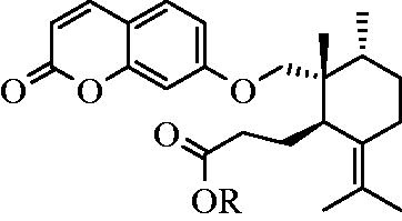 Figure 1. Chemical structures of galbanic acid (R = H) and methyl galbanate (R = CH3).