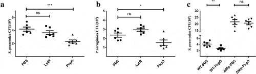 Figure 6. PepO promotes pulmonary bacterial clearance in C57/BL6 mice. Mice were treated with 10 μg rPepO 6 h before bacterial infection. PBS and LytR were employed as control. (a) PepO significantly reduced the bacteria load of S. pneumoniae D39-infected mice. (b) PepO significantly reduced the bacteria load of an MDR P. aeruginosa-infected mice. (c) In macrophage depleted mice, PepO failed in reducing the bacteria load of D39 infected mice. Data were expressed as mean with SEM (n = 6 mice/group). ns: not significant; *p < 0.05; **p < 0.01; ***p < 0.001. Statistically significant differences were carried out by Student’s t-test