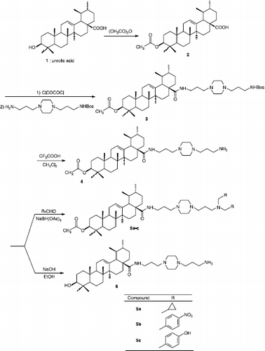 Scheme 1 Synthesis of new ursolic acid derivatives 2-6.