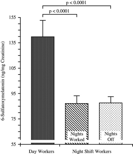 FIGURE 3. Mean (±S.E.) 24 h urinary melatonin metabolite 6-sulfatoxymelatonin (aMT6s) concentration expressed relative to creatinine concentration of dayshift nurses (n = 7), who maintained their diurnal activity/nocturnal sleep routine, studied on work and off days (n = 268 urine samples in total) and nightshift nurses (n = 12), who adopted a daytime sleep/nighttime activity routine when working nightshifts but with napping at work allowed when feasible, studied during duty nights (n = 224 urine samples in total) and also off nights (n = 275 urine samples). Void-by-void urines were self-collected around the clock by day nurses who worked 6 h shifts 6 day/wk and also by night nurses who worked 12 h nightshifts every other night and who had 36 h off-work periods every other "day". Night nurses exhibit a significantly lower mean aMT6s (i.e., melatonin suppression) on both work and off days compared to dayshift nurses on work and also off days (ANOVA; p < 0.0001); mean 24 h urinary 6-sulfatoxymelatonin/ng creatinine concentration of nightshift nurses, both on and off work nights, is ∼40% less than that of dayshift only nurses, both on work days and off days. [Figure constructed using previously unpublished data collected by Borges et al. (Citation2007, Citation2008)].