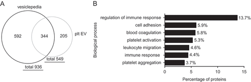 Figure 7. Proteomic analysis of platelet EV preparations. Venn diagram shows 549 identified proteins from which 344 proteins overlap with the in total 936 identified proteins of vesiclepedia (a). Pathway analysis identified proteins involved in biological processes (b).