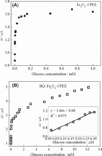 Figure 5. (A) Effect of glucose concentration on the response of Fe3O4‐CPEE (B) Effect of glucose concentration on the response of BQ‐Fe3O4‐CPEE (inset: glucose response of the BQ‐Fe3O4‐CPEE at low concentrations) (0.05 M, pH 7.5 phosphate buffer, + 0.30 V, oxygen-saturated solution).