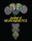 Cover image for Journal of Neurogenetics, Volume 1, Issue 3, 1984