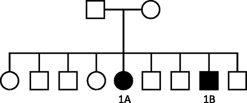 Figure 1. Family Pedigree of Family 1.