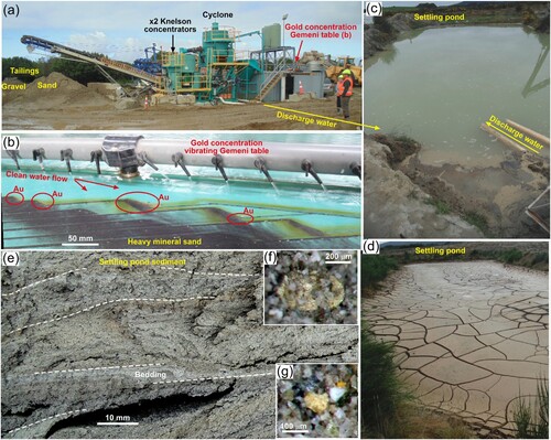 Figure 2. Modern Round Hill mine processing site, and source of the material examined in this study. (a) General view of the processing plant. (b) Portion of gold extraction process with Gemeni table. (c) Settling pond that receives the first discharge water from the processing plant. (d) An inactive settling pond that had been dewatered prior to extraction of the sediment. (e) Wet sediment from the first settling pond (as in c), showing general particle size variations and bedded structure (white dashed lines). (f,g) Stereomicroscopic views of dried settling pond sediment (fine sand layers) with rare gold flakes (centre) oriented on bedding surfaces.
