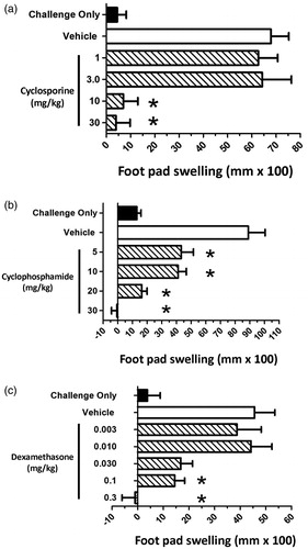 Figure 4. Effect of immunosuppressive drugs on juvenile rat footpad swelling using the C. albicans delayed-type hypersensitivity model. Juvenile rats were administered either vehicle, or (a) CsA, (b) CPS, or (c) DEX at the indicated doses. Dosing began on PND 23, 5 days prior to sensitization, and ended the day prior to challenge (PND 37). Rats were sensitized with 2 × 107 C. albicans organisms/rat by sc injection into the right rear flank on PND 28. On PND 38, pre-challenge footpad thickness measurements were obtained using a digital micrometer, and rats subsequently challenged by subcutaneous injection of 150 µg (100 µl) chitosan into the right footpad. Footpad thickness was again measured 24 h post-challenge and the change in footpad thickness calculated (post-challenge – pre-challenge thickness). Background swelling was determined in groups of juvenile rats that were challenged but not sensitized (challenge only). Data expressed as footpad swelling (mm × 100). Values represent the mean ± SEM from 10 animals per group. *Group mean values statistically different (p < 0.05) from control.