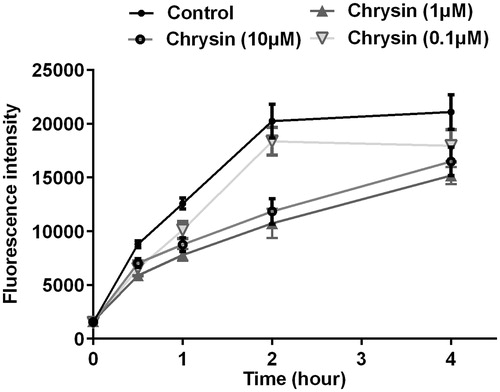 Figure 6. Chrysin inhibits cholesterol uptake by RAW264.7 macrophages. Cholesterol uptake assay using 25-NBD cholesterol as a fluorescence indicator. Values represent mean ± SD. Results are representative of three different experiments.